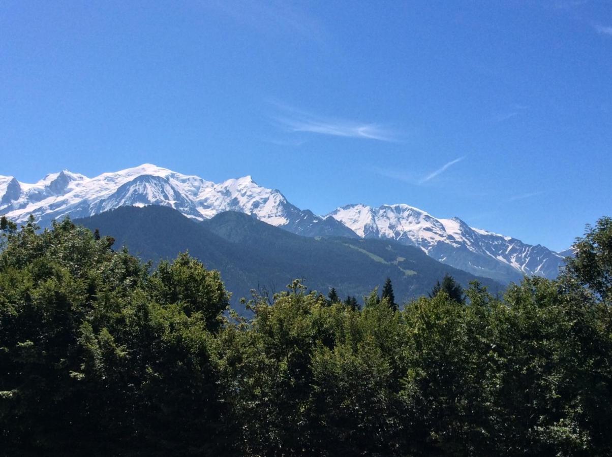 Fizhome Mt Blanc Пасси Экстерьер фото